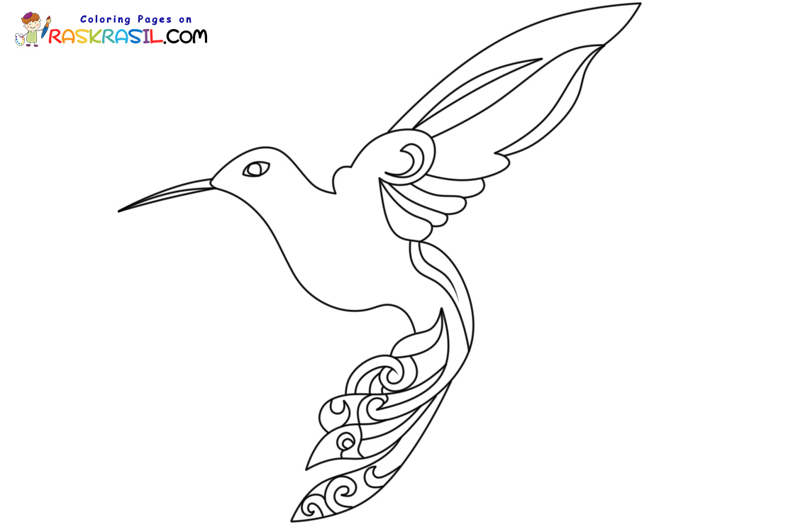 Raskrasil.com-Hummingbird-New-Coloring-Pages-6