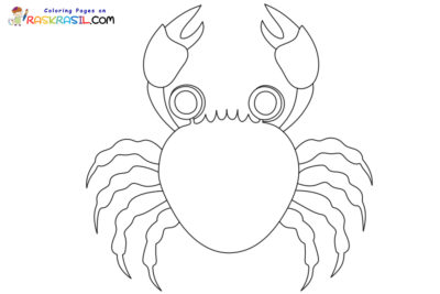 Yengeç boyama sayfaları