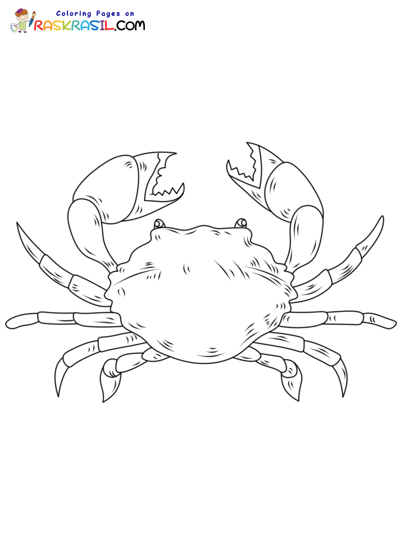 Raskrasil.com-Crab-New-Coloring-Pages-5