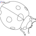 Raskrasil.com-Lucky-Charms-Coloring-Pages-6