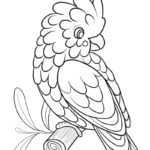 Raskrasil.com-Australian-Animals-Colouring-Pages-Cacatua