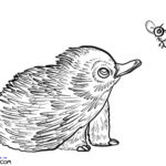 Raskrasil.com-Australian-Animals-Colouring-Pages-Echidna