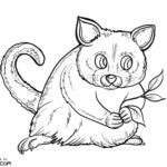 Raskrasil.com-Australian-Animals-Colouring-Pages-Opossum