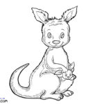 Raskrasil.com-Australian-Animals-Colouring-Pages-Кangaroo