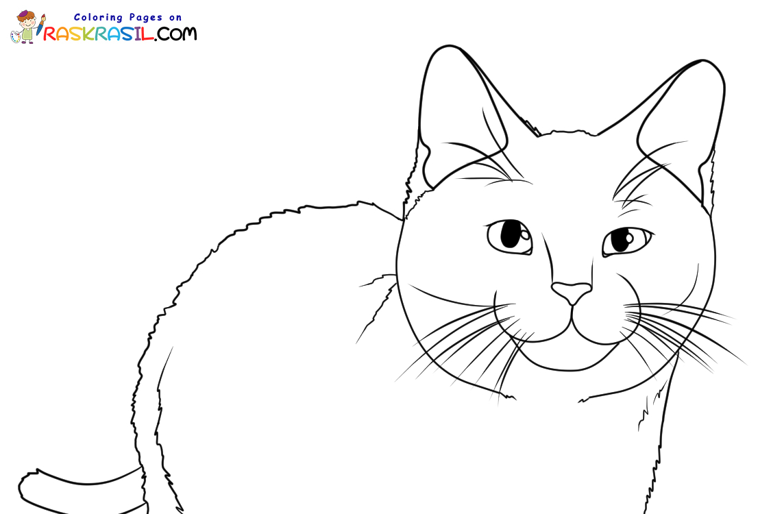 Ausmalbilder-Die-Schule-der-magischen-Tiere-3-Kater-Karajan