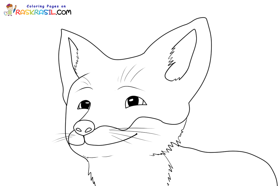  Ausmalbilder Die Schule der magischen Tiere zum Ausdrucken Motiv 