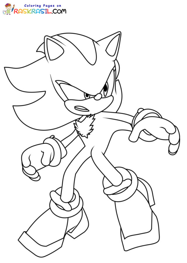 Disegni di Sonic da Colorare