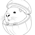 Raskrasil.com-Bobrini-Cococosini-Coloring-Page