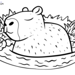 Raskrasil.com-Capybara-enjoys-some-water-Coloring-Page