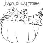 Raskrasil.com-Jack o Lantern-112