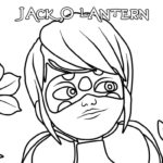 Raskrasil.com-Jack o Lantern-117