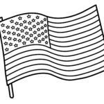 Raskrasil - American flag (2)