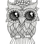 Previous Attachment