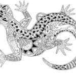 Kolorowanki Antystresowe Zwierzęta – 100 kolorowanek do wydruku