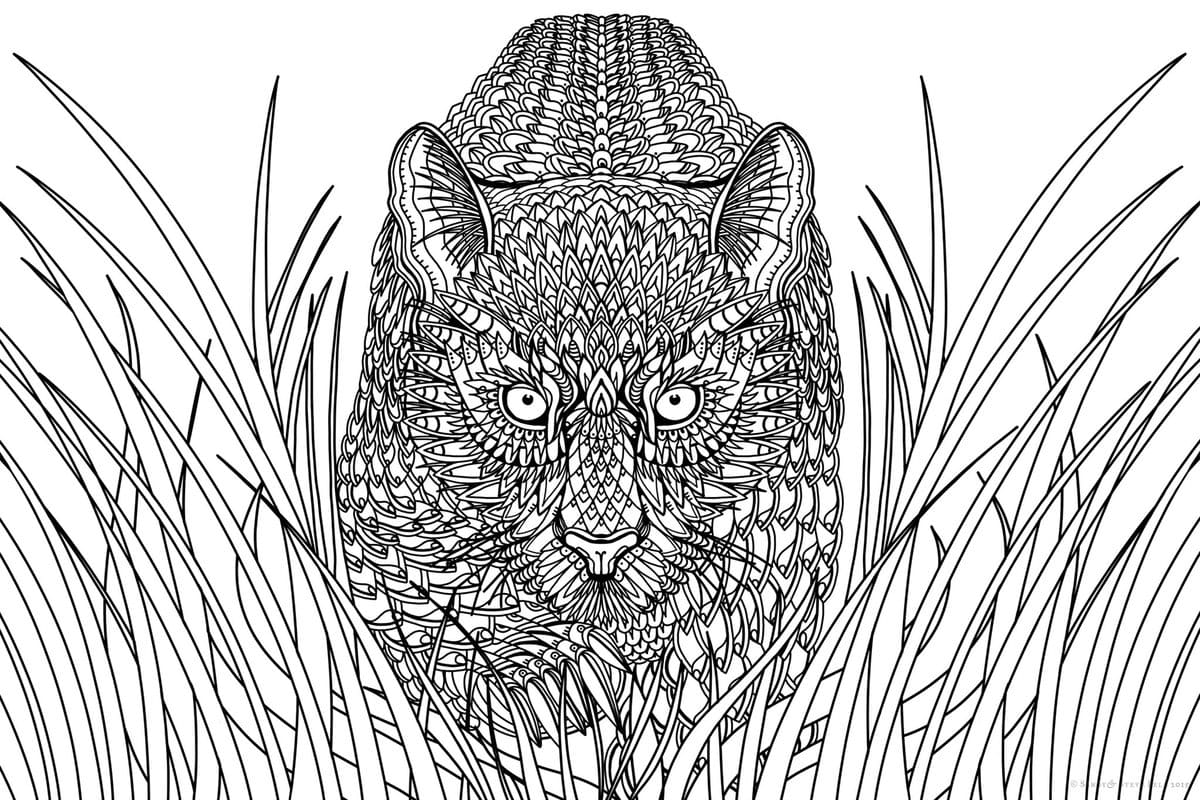 Coloring pages anti stress Animals. Print for free, 100 pieces