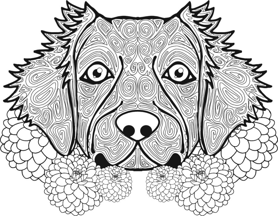 Coloriage animaux anti stress. Imprimer gratuitement, 100 pièces