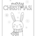 Raskrasil - Christmas (24)
