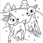 Raskrasil - Christmas (74)