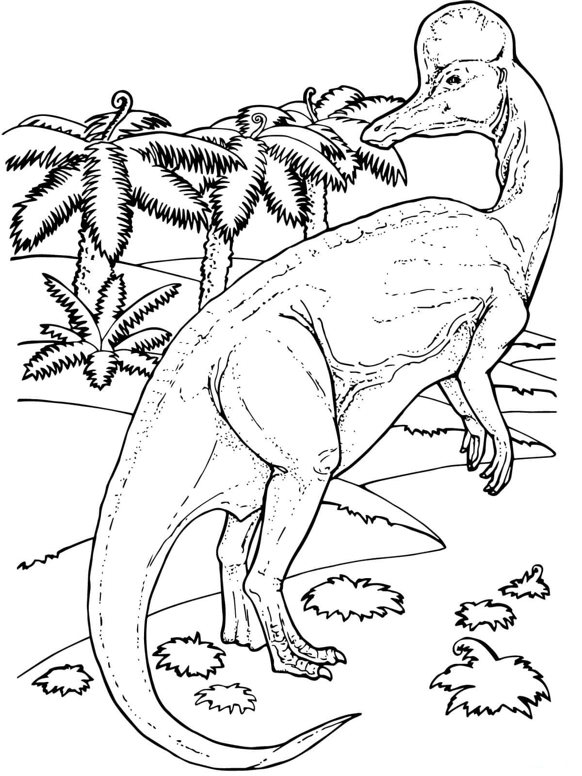 Раскраски Динозавры - Большая коллекция, распечатать бесплатно