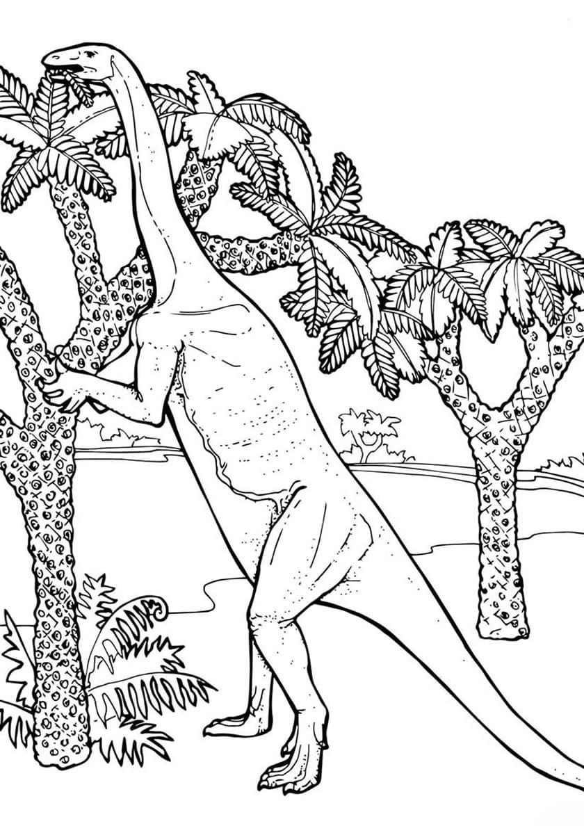 Disegni Da Colorare Di Dinosauri Grande Collezione Stampa Gratuita Disegni Da Colorare Di Dinosauri Grande Collezione Stampa Gratuita