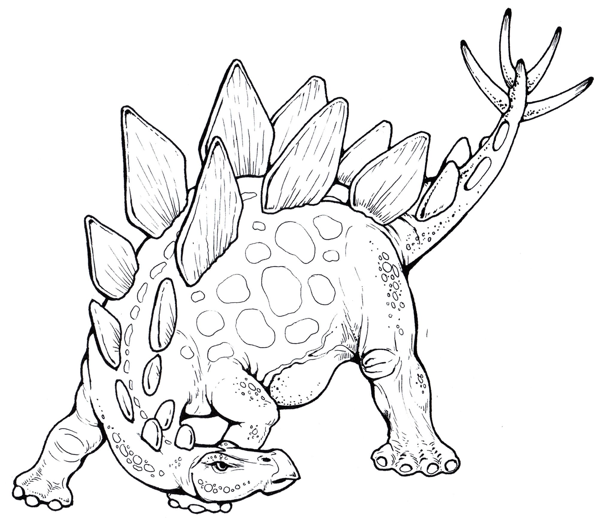Dinosaurs Coloring Pages | 100 Pictures Free Printable