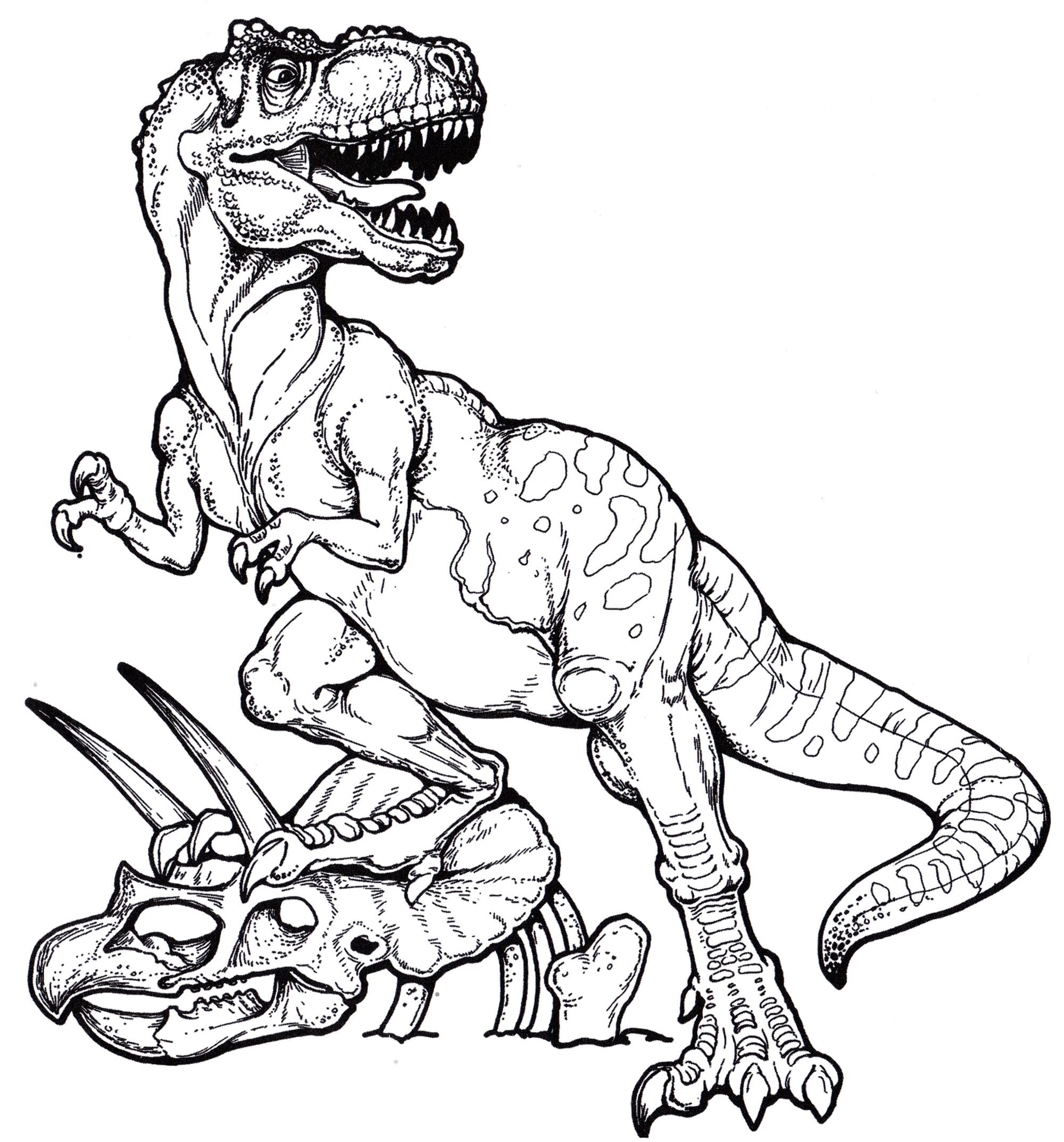 Dibujos De Dinosaurios Colorear