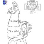 Raskrasil- Fortnite (11)