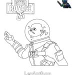 Raskrasil- Fortnite (17)