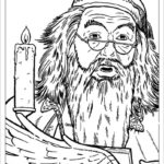 Raskrasil - Garry Potter (26)