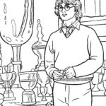 Raskrasil - Garry Potter (27)