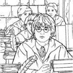 Raskrasil - Garry Potter (5)