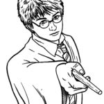 Raskrasil - Garry Potter (9)