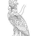 Previous Attachment
