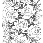 Raskrasil -Rosa (1)