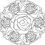 Raskrasil -Rosa (14)