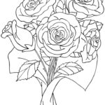 Raskrasil -Rosa (29)