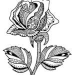 Previous Attachment