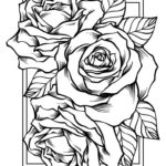 Raskrasil -Rosa (4)