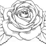 Raskrasil -Rosa (41)