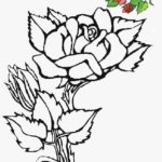 Previous Attachment
