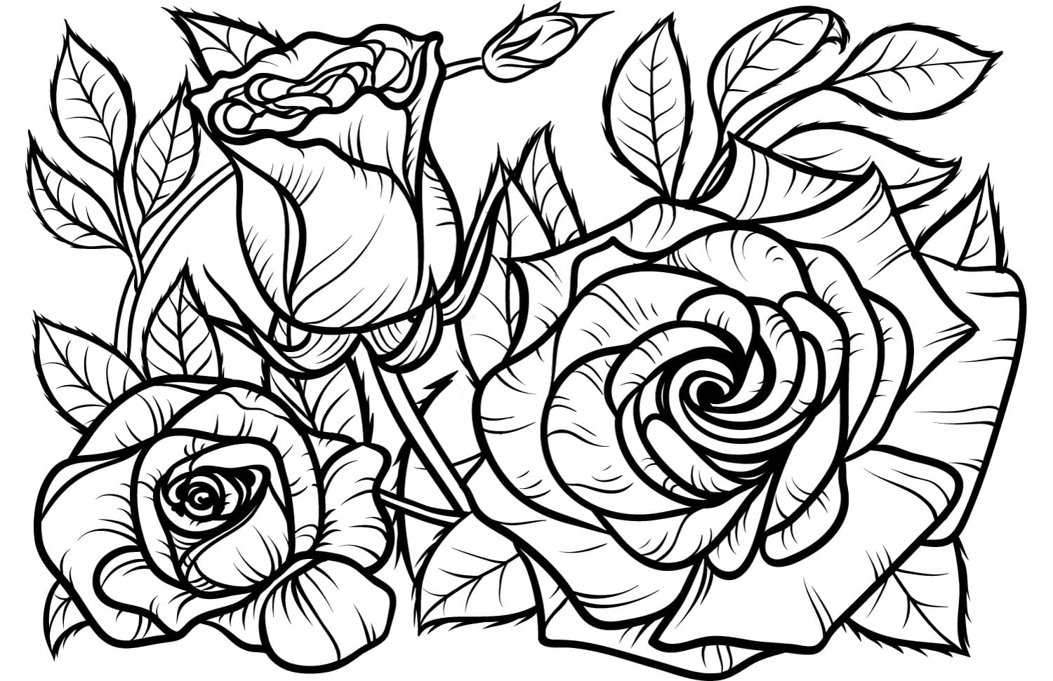 Rose Coloring Pages   Print the flower queen online