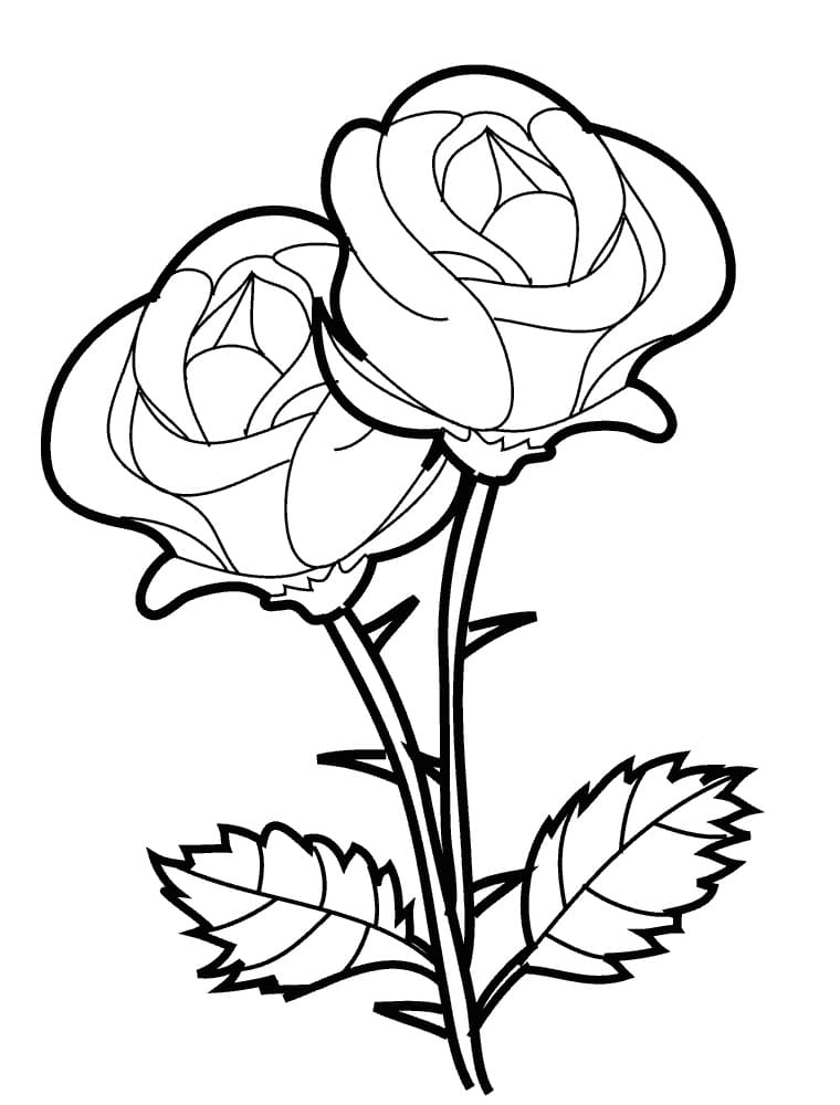Rose Coloring Pages | Print the flower queen online