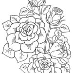 Raskrasil -Rosa (6)