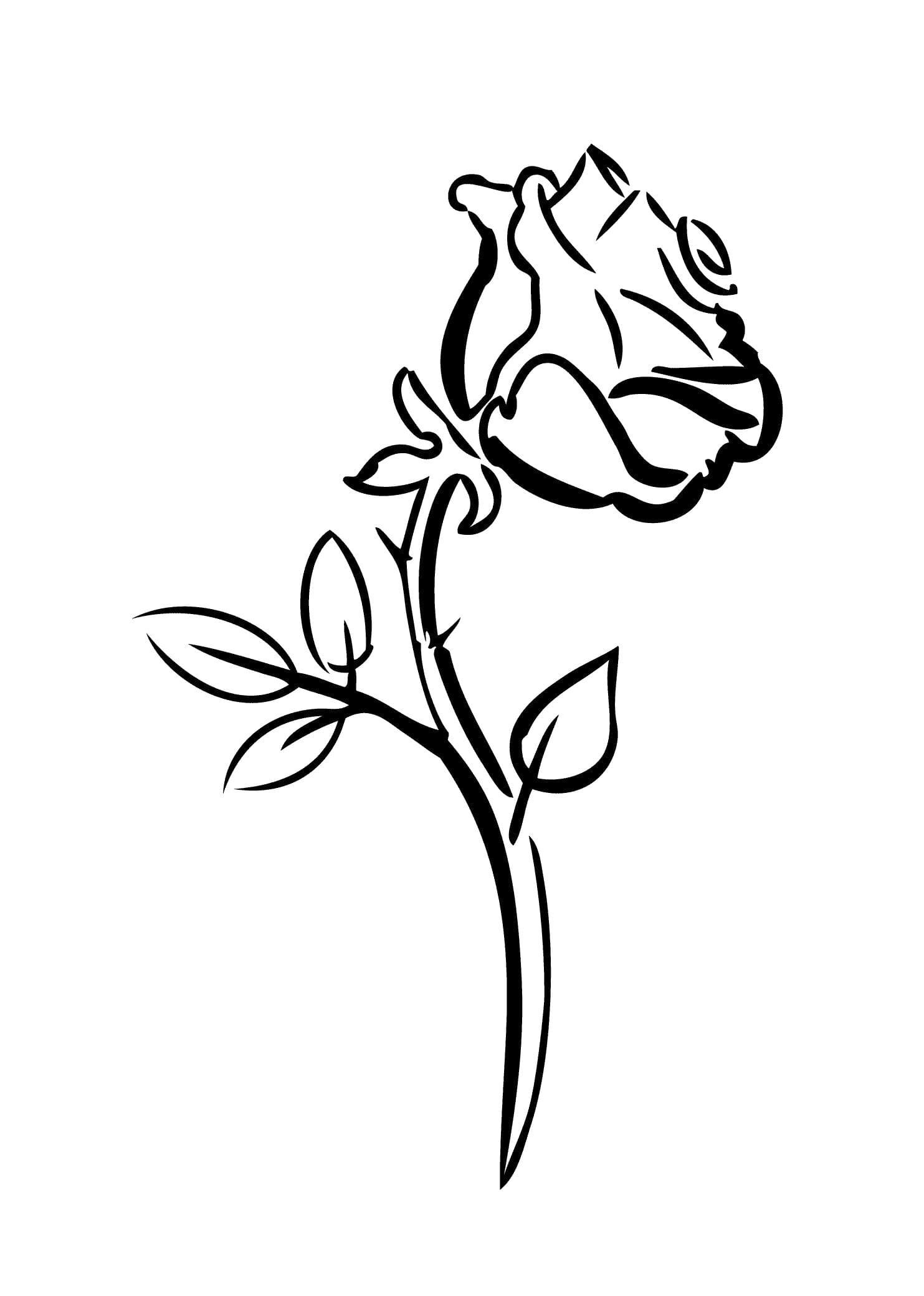 Coloriage Rose - Imprimer la reine des fleurs en ligne
