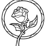 Raskrasil -Rosa (8)