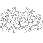 Raskrasil -Rosa (9)