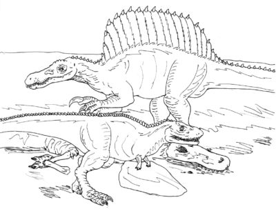 Coloring pages Spinosaurus. Download or print for free