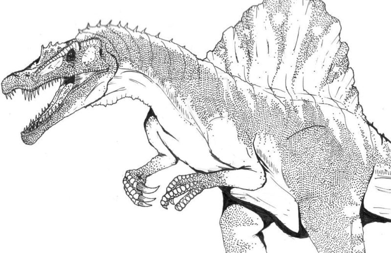 Coloriage Spinosaurus T l chargez Ou Imprimez Gratuitement coloriage-spinosaurus-t-l-chargez-ou-imprimez-gratuitement