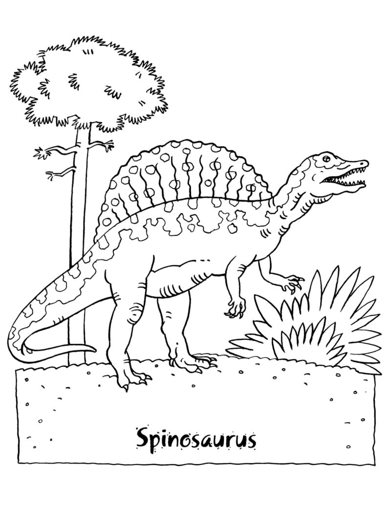 Desenhos de Espinossauro para colorir. Imprima gratuitamente