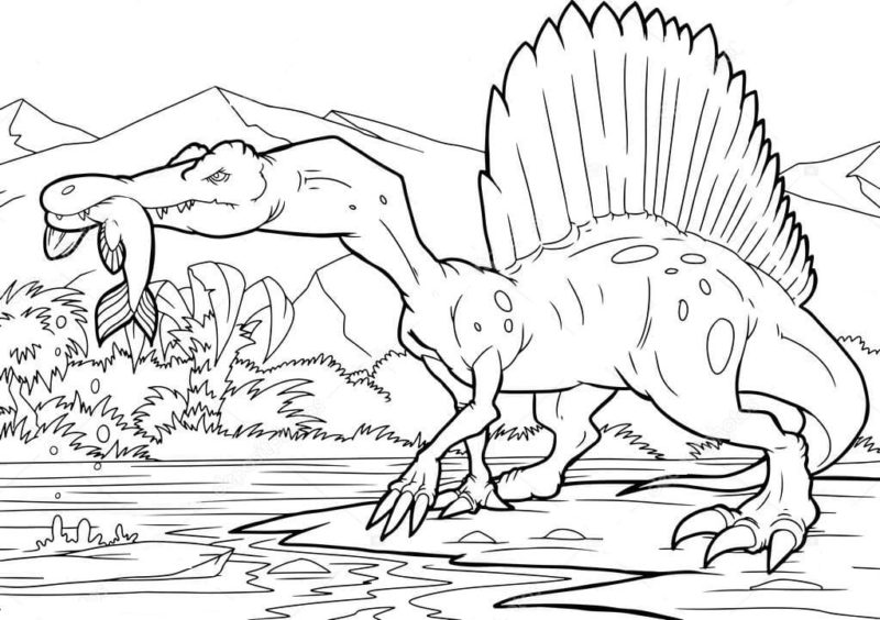 Desenhos de Espinossauro para colorir. Imprima gratuitamente